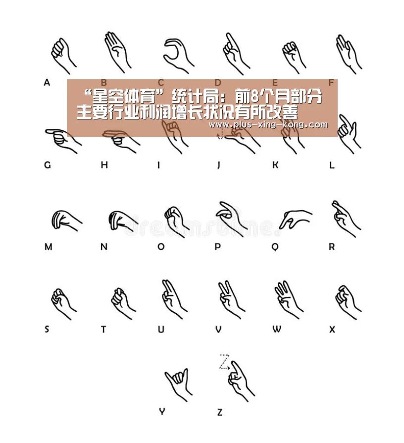“星空体育”统计局:前8个月部分主要行业利润增长状况有所改善(图2) 星空体育入口