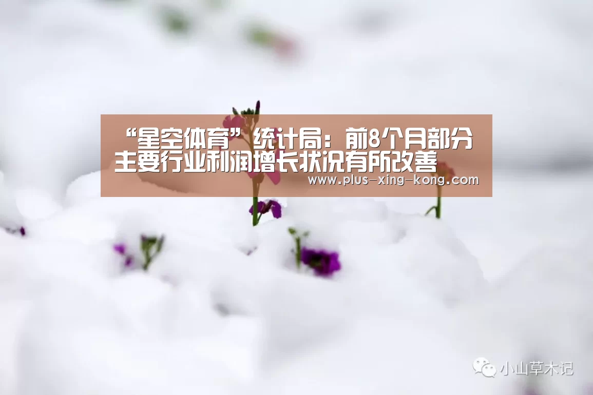 “星空体育”统计局:前8个月部分主要行业利润增长状况有所改善(图1) 星空体育