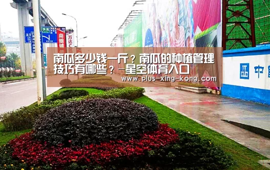 南瓜多少钱一斤?南瓜的种植管理技巧有哪些?-星空体育入口(图1) 星空体育官网