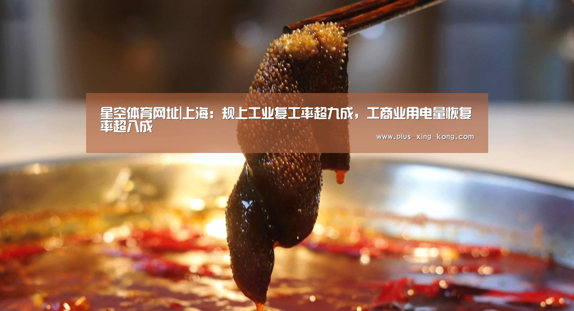 星空体育网址|上海:规上工业复工率超九成,工商业用电量恢复率超八成(图1) 星空体育入口