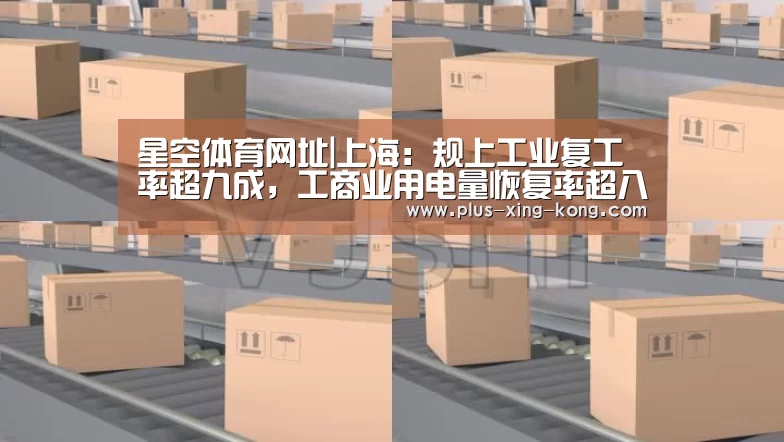 星空体育网址|上海:规上工业复工率超九成,工商业用电量恢复率超八成(图4) 星空体育